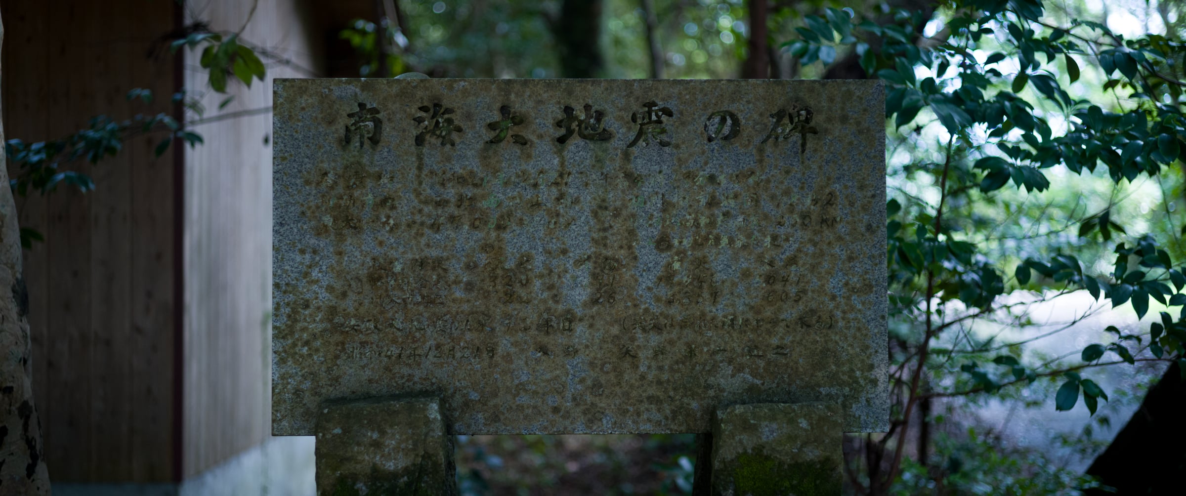 A moss-covered stone monument to the great Nankai earthquake among trees (photo: Takahiro Mitsui)
