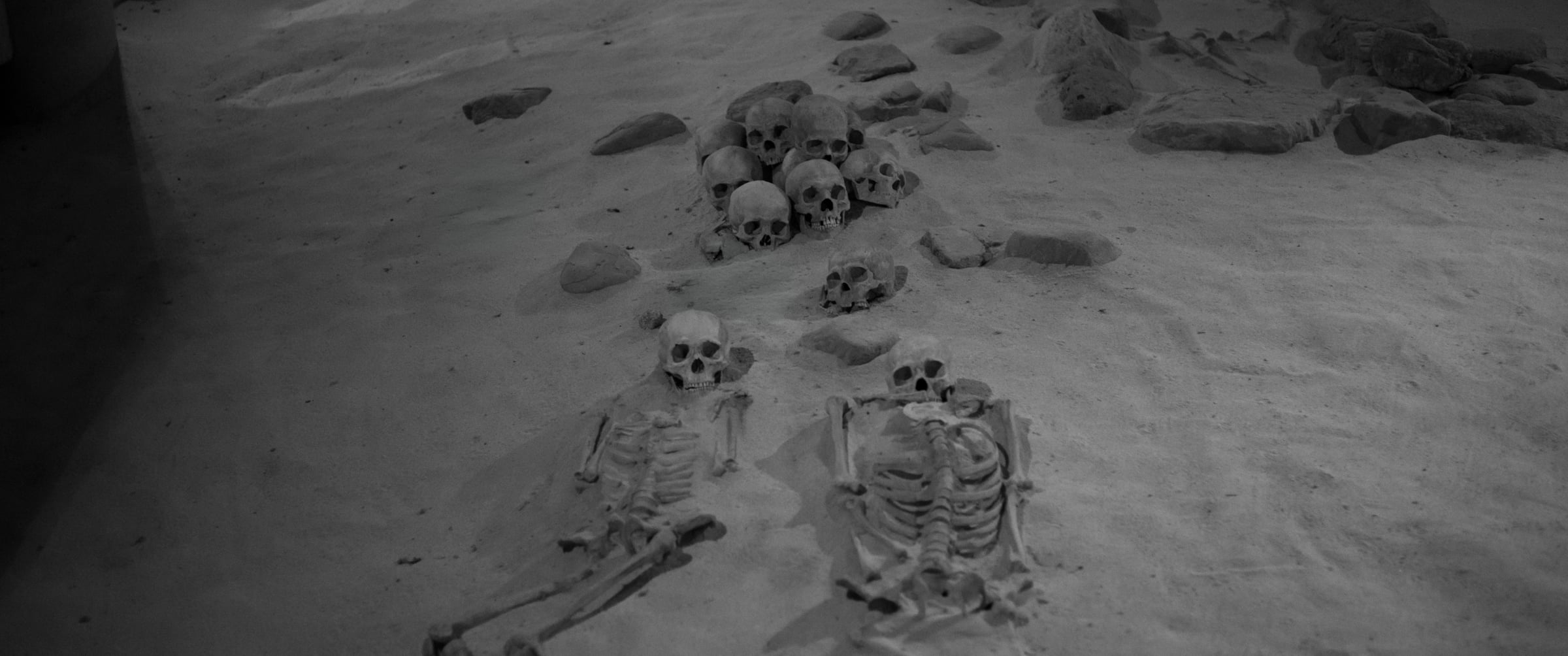 Skulls gathered on the sand, beside two skeletons lying side by side (photo: Takahiro Mitsui)