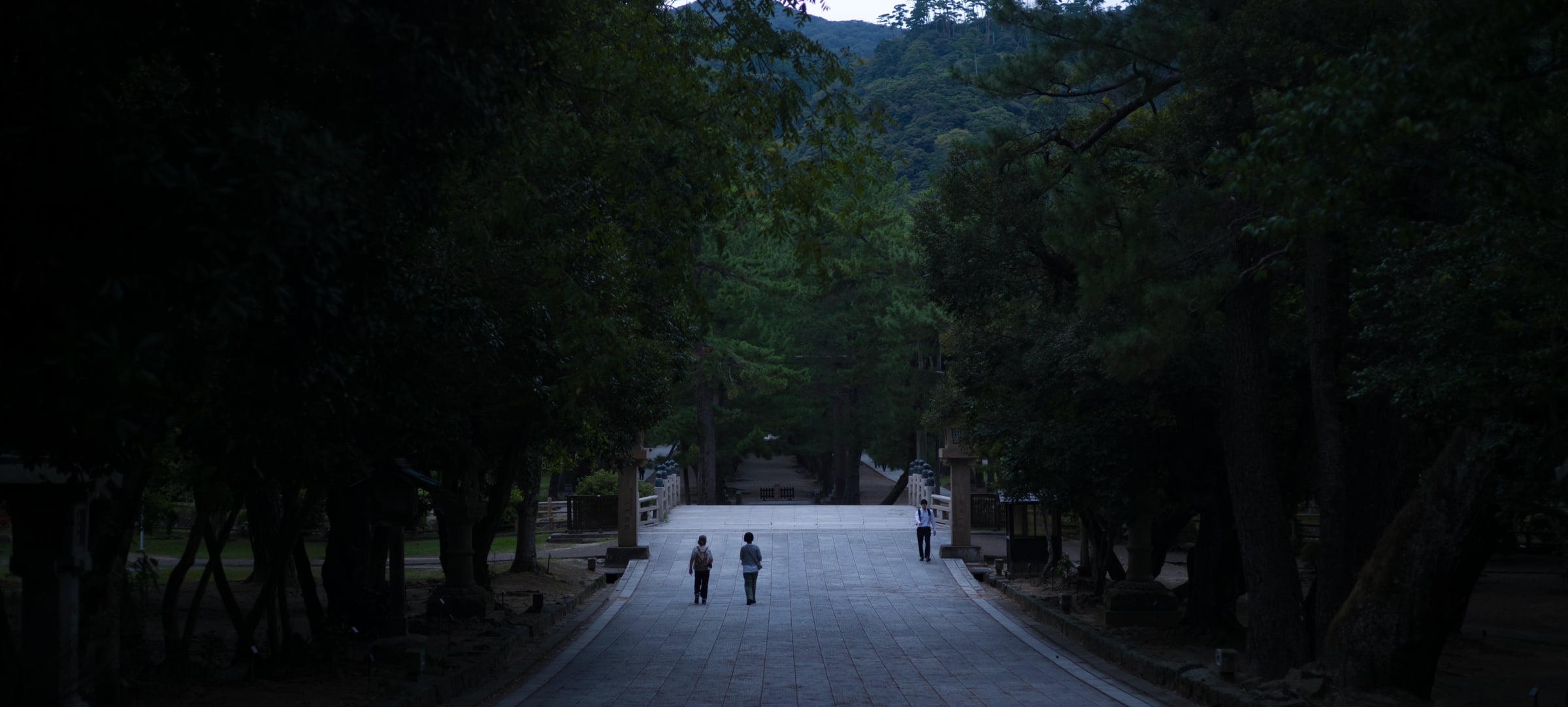 Two figures walking down a long approach between dark trees (photo: Takahiro Mitsui)
