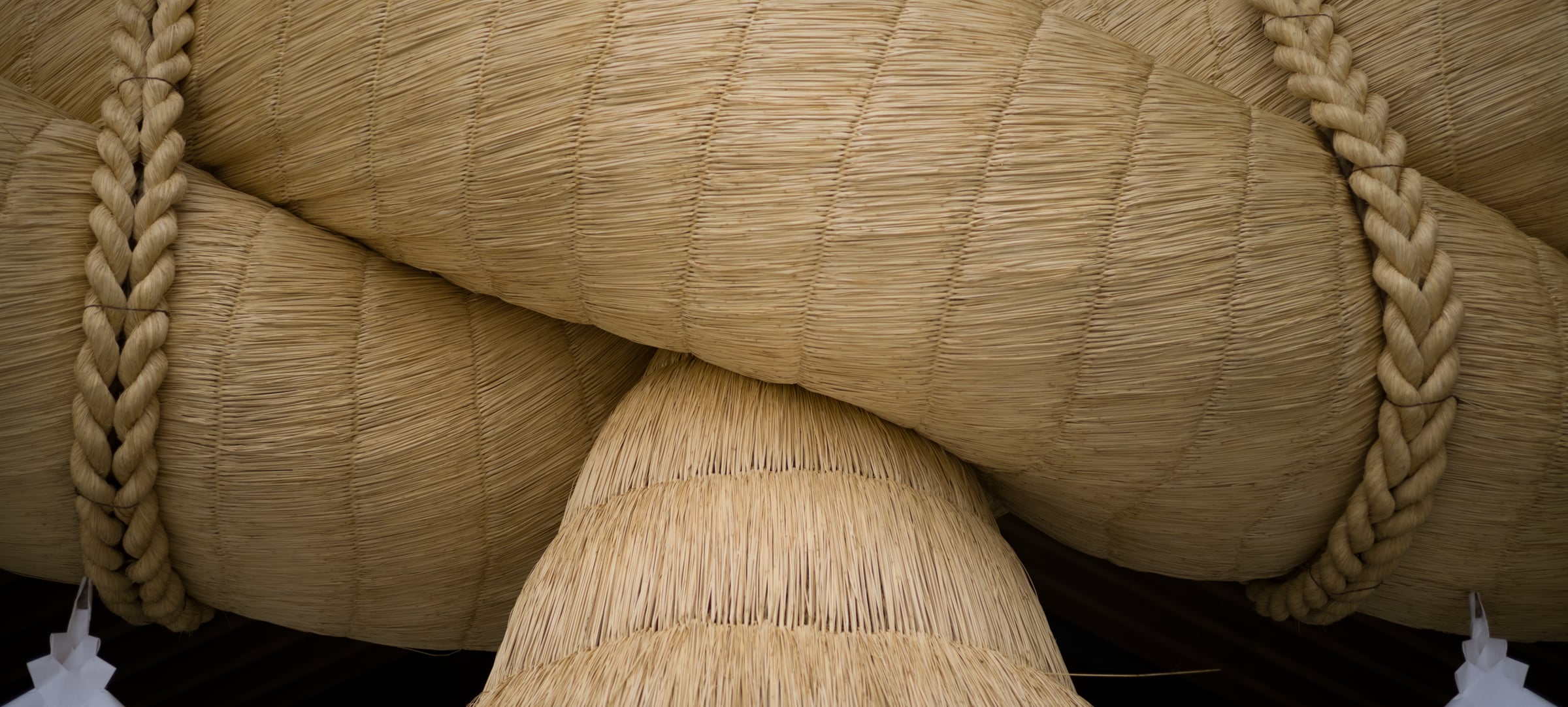 The thick coils of the great straw rope, bound with braided cord (photo: Takahiro Mitsui)