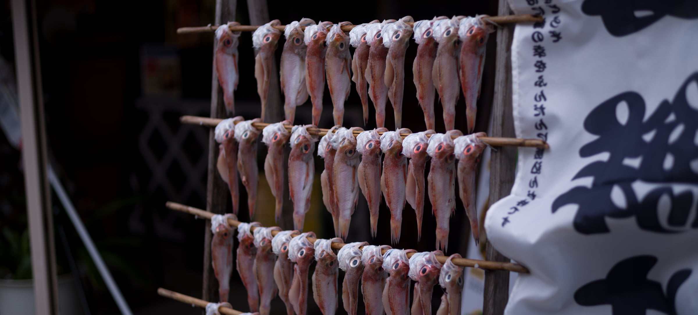 Small fish hung out to dry in rows beside a shop banner (photo: Takahiro Mitsui)